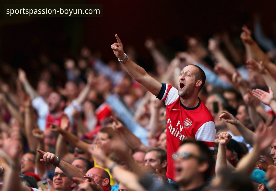 资深球迷分享：在博云体育平台重温意大利出局之夜的心路历程